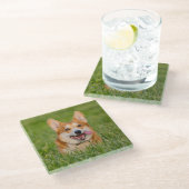 Niedlicher Corgi im Gras Glasuntersetzer (Schrägansicht)