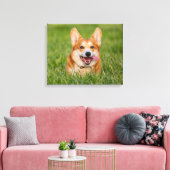 Niedlicher Corgi im Gras Leinwanddruck (Insitu (Wohnzimmer))