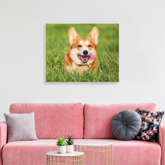 Niedlicher Corgi im Gras Leinwanddruck (Insitu (Wohnzimmer))