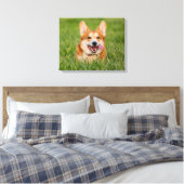 Niedlicher Corgi im Gras Leinwanddruck (Insitu (Schlafzimmer))