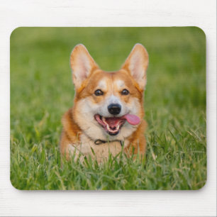 Niedlicher Corgi im Gras Mousepad