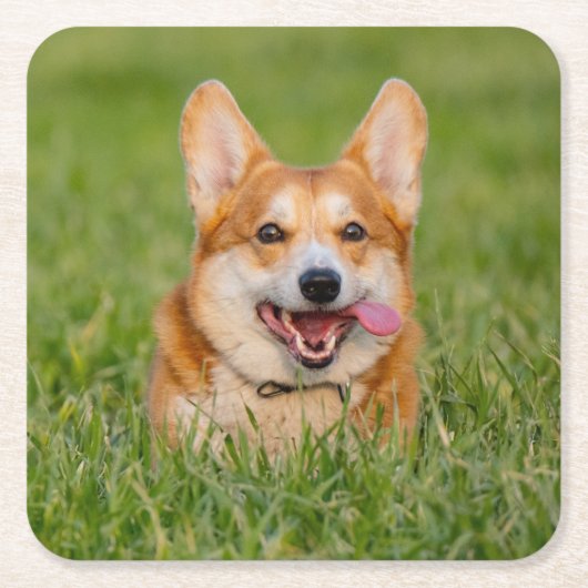 Niedlicher Corgi im Gras Rechteckiger Pappuntersetzer (Vorderseite)