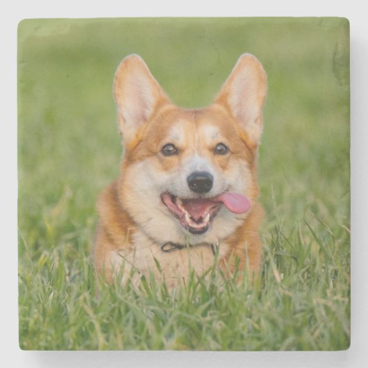 Niedlicher Corgi im Gras Steinuntersetzer (Vorderseite)