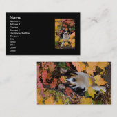 Niedlicher Corgi in den Herbstfarben Visitenkarte (Vorne/Hinten)