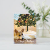 Niedlicher Corgi unter der Weihnachtsbaumfotografi Postkarte (Stehend Vorderseite)