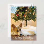 Niedlicher Corgi unter der Weihnachtsbaumfotografi Postkarte (Vorne/Hinten)