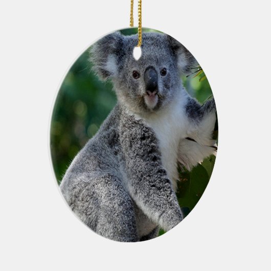 Niedlicher cuddly australischer Koala Keramikornament (Rechts)