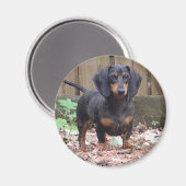 Niedlicher Dackel-Magnet Magnet (Vorderseite/Rückseite)