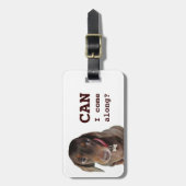 Niedlicher Dackelgepäckumbau Gepäckanhänger (Vorderseite vertikal)