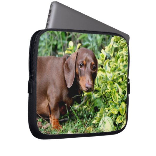 niedlicher Dackellaptopkasten Laptopschutzhülle (Vorne Rechts)