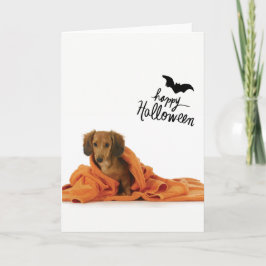 Niedlicher Dackelwelpe in orange umfassendem Karte
