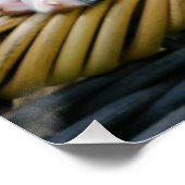 Niedlicher Dalmatiner Hund Welpenportrait, Foto Poster (Ecke)