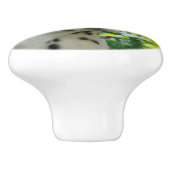 Niedlicher Dalmatiner-Hundeniedliches Keramikknauf (Seitenansicht)