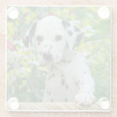 Niedlicher Dalmatiner-Hundeniedliches Welpen-Foto, Glasuntersetzer (Rückseite)