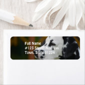 Niedlicher Dalmatiner Welpe (Insitu)