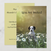 Niedlicher Dalmatiner Welpe in Daisies Einladung (Vorne/Hinten)