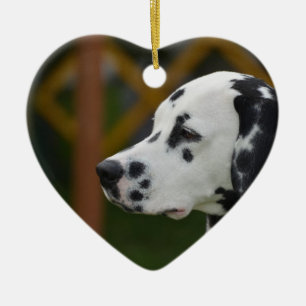 Niedlicher Dalmatiner-Welpe Keramik Ornament