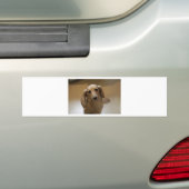 Niedlicher Datschund Autoaufkleber (Auf Auto)