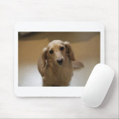 Niedlicher Datschund Mousepad (Mit Mouse)