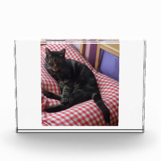 Niedlicher Dave-Akrylic-Foto-Block Fotoblock