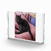 Niedlicher Dave-Akrylic-Foto-Block Fotoblock (Rechts)