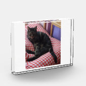 Niedlicher Dave-Akrylic-Foto-Block Fotoblock (Links)