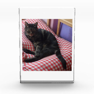 Niedlicher Dave-Akrylic-Foto-Block Fotoblock