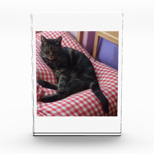 Niedlicher Dave-Akrylic-Foto-Block Fotoblock (Vorderseite)