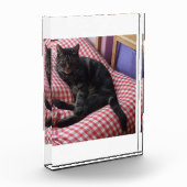 Niedlicher Dave-Akrylic-Foto-Block Fotoblock (Links)