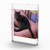 Niedlicher Dave-Akrylic-Foto-Block Fotoblock (Rechts)