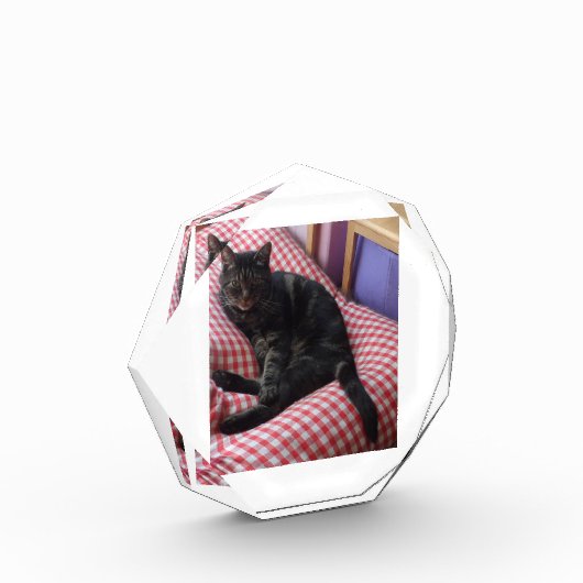 Niedlicher Dave Octagonal-Foto-Block Fotoblock (Links)