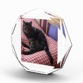 Niedlicher Dave Octagonal-Foto-Block Fotoblock (Rechts)