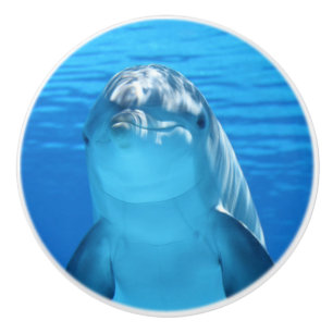 Niedlicher Delfin Keramikknauf