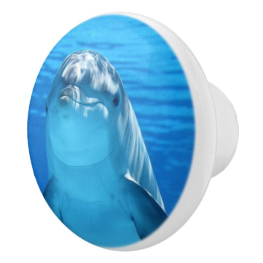 Niedlicher Delfin Keramikknauf (Rechts)