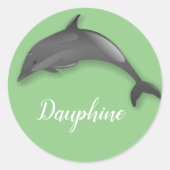 Niedlicher Delphin: Klassischer Rundaufkleber hinz Runder Aufkleber (Vorderseite)