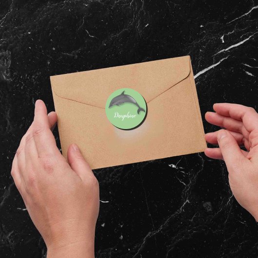 Niedlicher Delphin: Klassischer Rundaufkleber hinz Runder Aufkleber