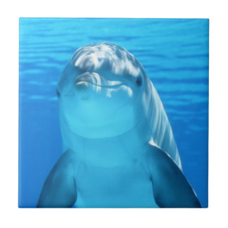 Niedlicher Delphin-Marinetier im blauen Meer Fliese