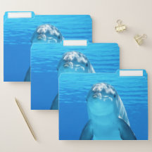 Niedlicher Delphin-Marinetier im blauen Meer
