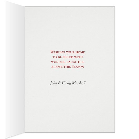 Niedlicher Deutscher Schäferwelpen und Strumpf (Innen (Rechts))