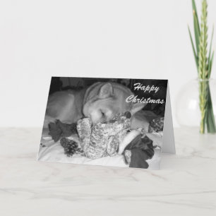 Niedlicher die Akita-Hundeschlafende Umarmung Feiertagskarte