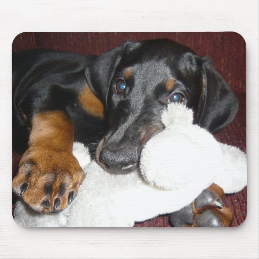 Niedlicher Dobermannpinscher-Welpe Mousepad (Vorne)