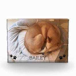 Niedlicher Dog Pet Foto Name Pawprints Foto Block