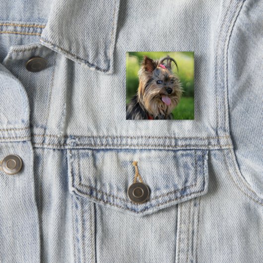 Niedlicher Dogenknopf 7 Button (Beispiel)