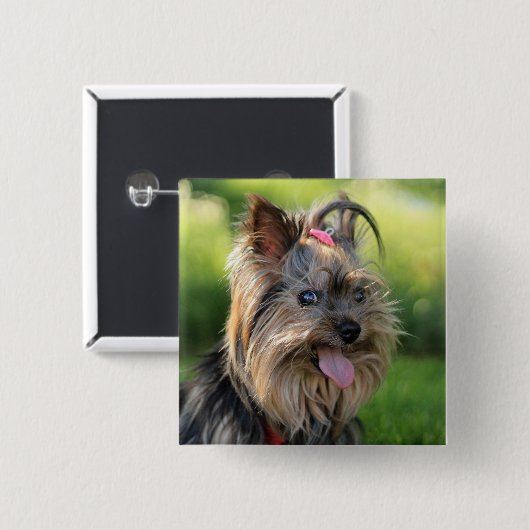 Niedlicher Dogenknopf 7 Button (Vorne & Hinten)