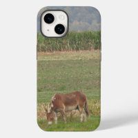Niedlicher Donkey für die Weidewirtschaft im Gras
