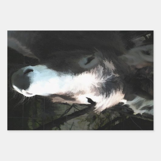 NIEDLICHER DONKEY GESCHENKPAPIER SET (Vorderseite 2)