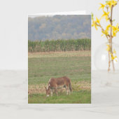 Niedlicher Donkey in einem Land Karte (Gelbe Blume)