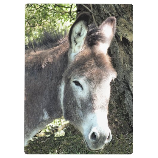 NIEDLICHER DONKEY KLEMMBRETT (Rückseite)