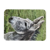 NIEDLICHER DONKEY MAGNET (Horizontal)