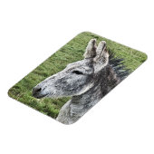 NIEDLICHER DONKEY MAGNET (Linke Seite)